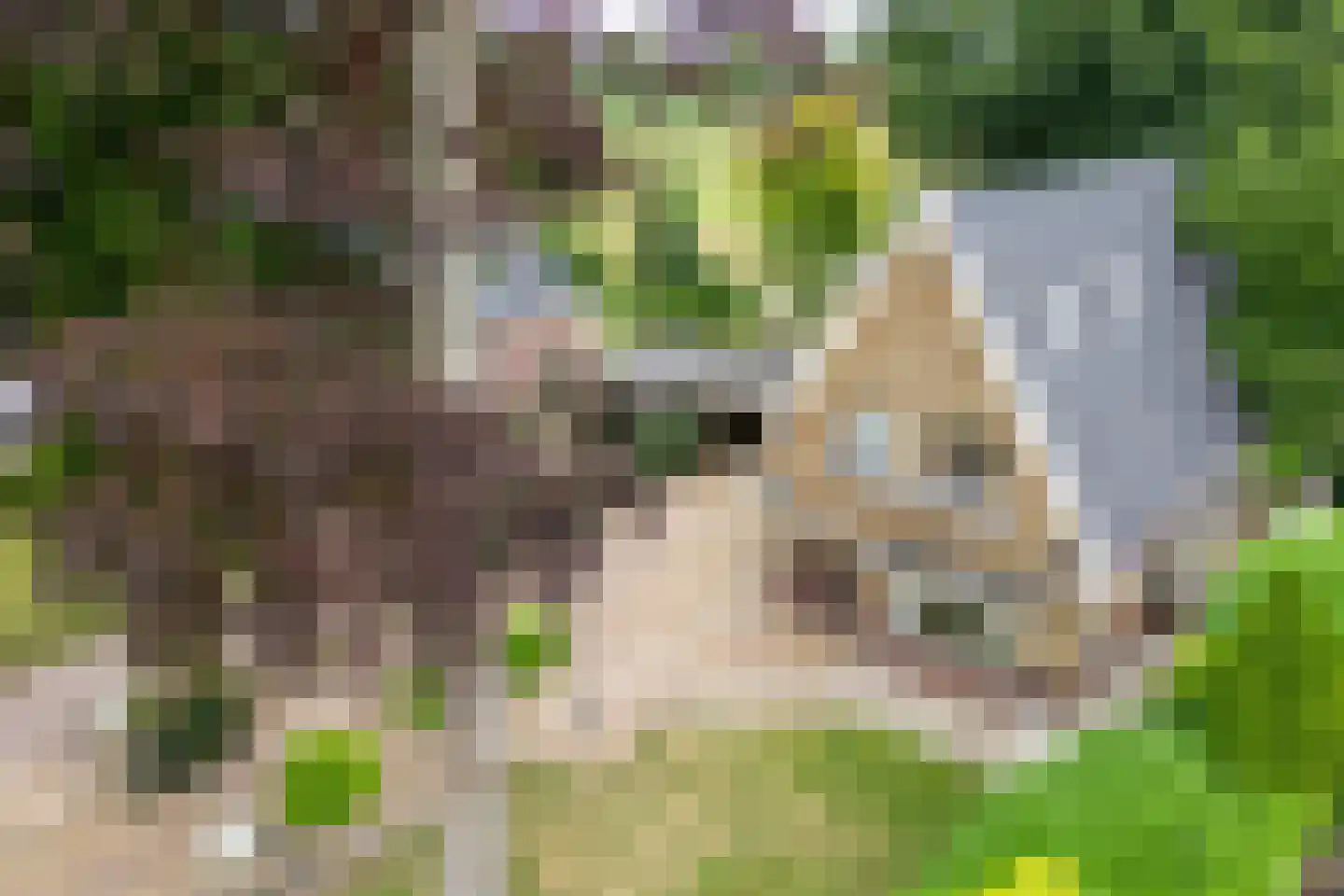 Emmerweg 23 Dalen thumbnail 72