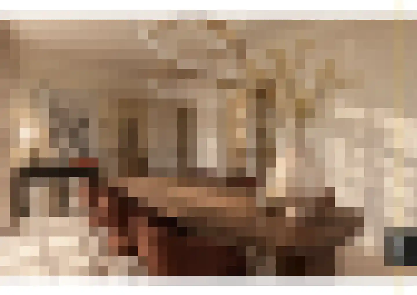 Emmerweg 23 Dalen thumbnail 83