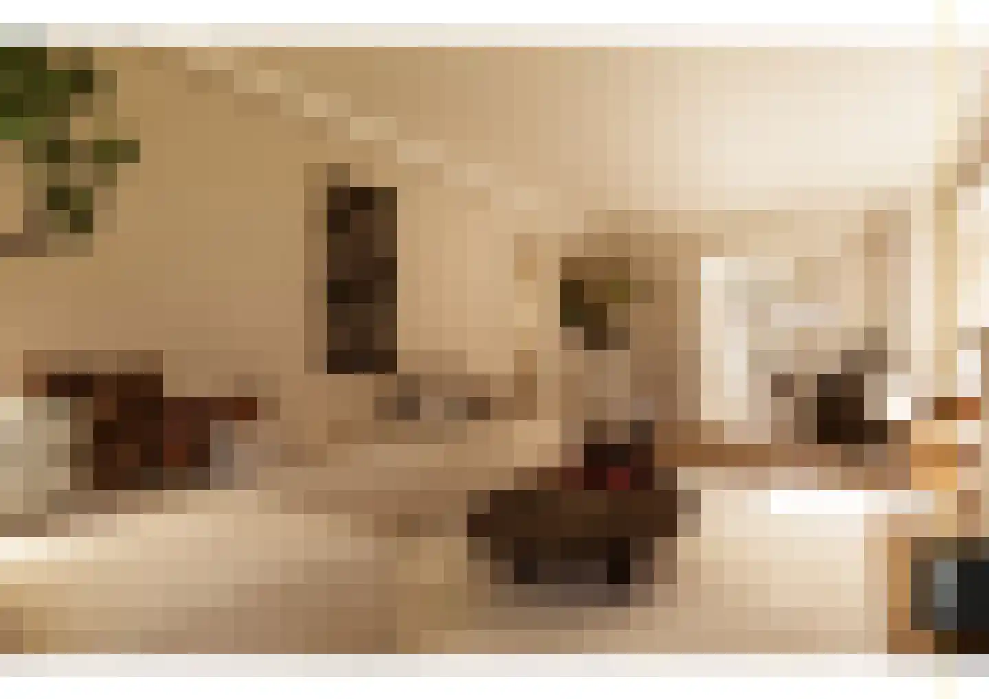 Emmerweg 23 Dalen thumbnail 87