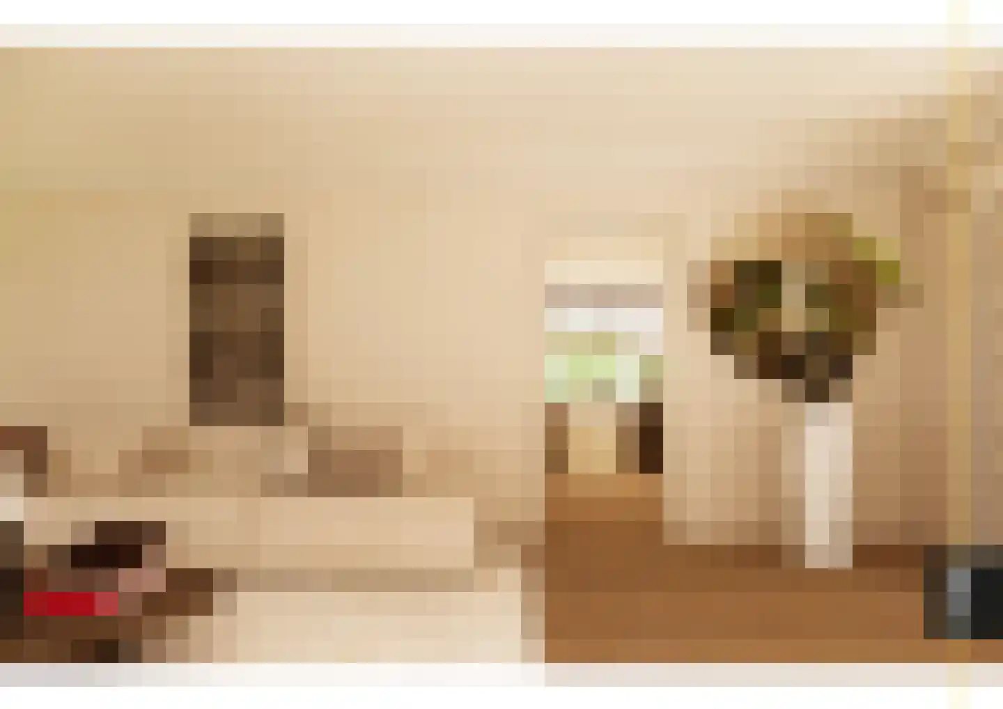 Emmerweg 23 Dalen thumbnail 88