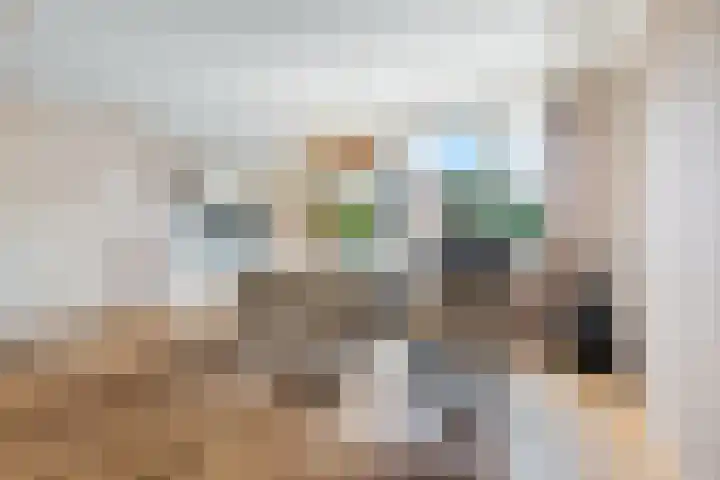 Emmerweg 32 Dalen thumbnail 11