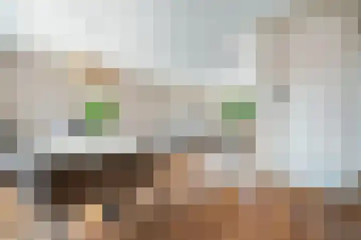Emmerweg 32 Dalen thumbnail 12