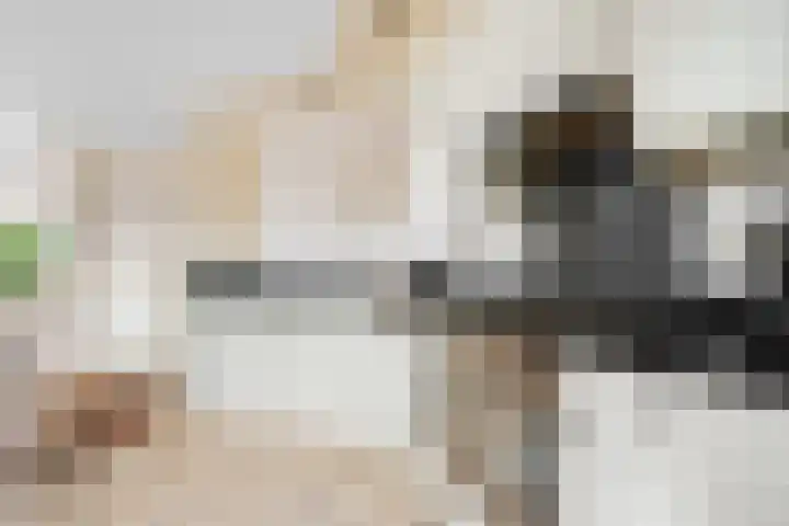 Emmerweg 32 Dalen thumbnail 14