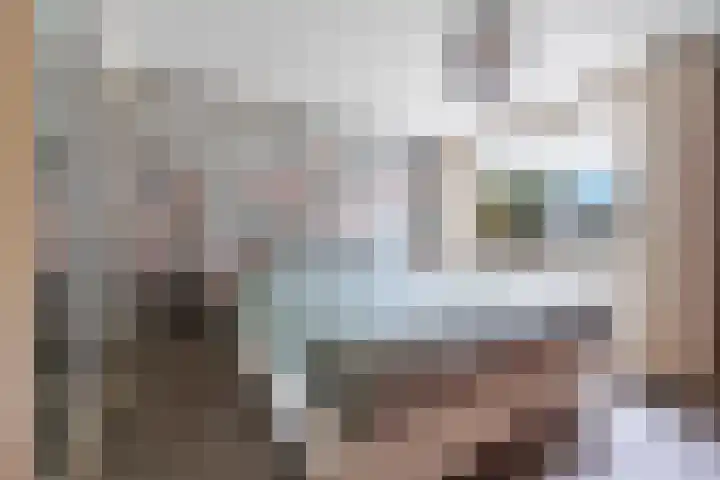 Emmerweg 32 Dalen thumbnail 25