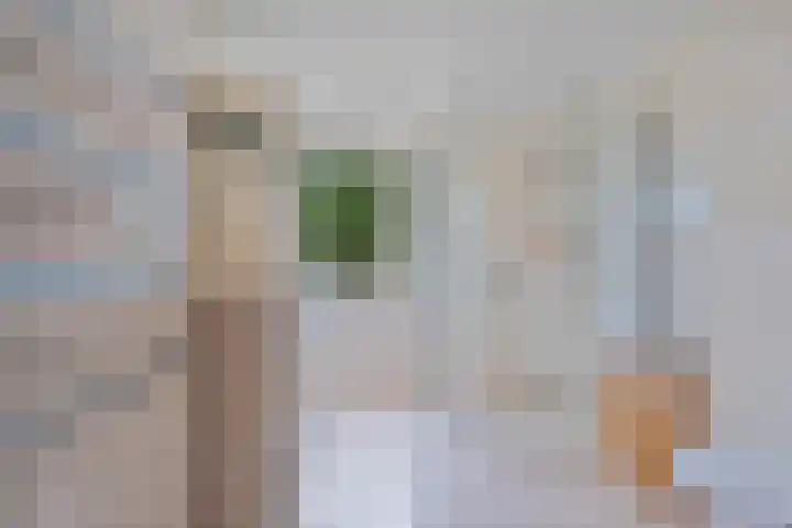 Emmerweg 32 Dalen thumbnail 27