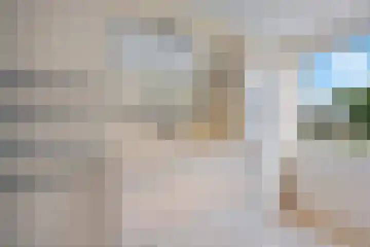 Emmerweg 32 Dalen thumbnail 28