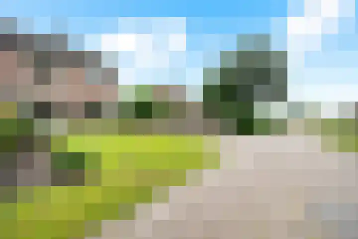 Emmerweg 32 Dalen thumbnail 33