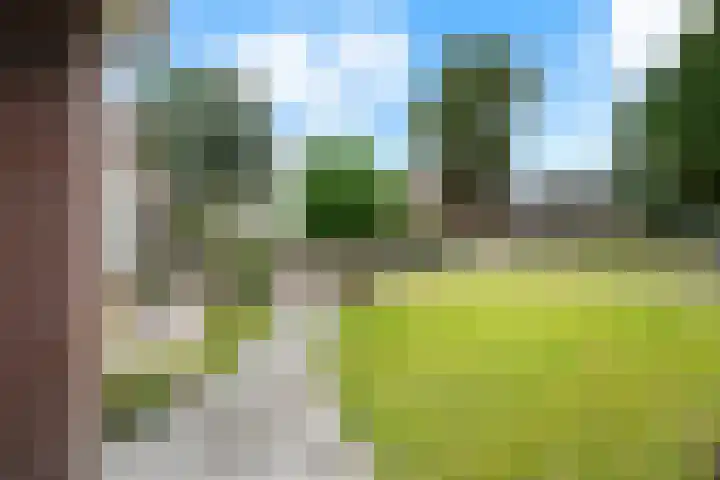 Emmerweg 32 Dalen thumbnail 35
