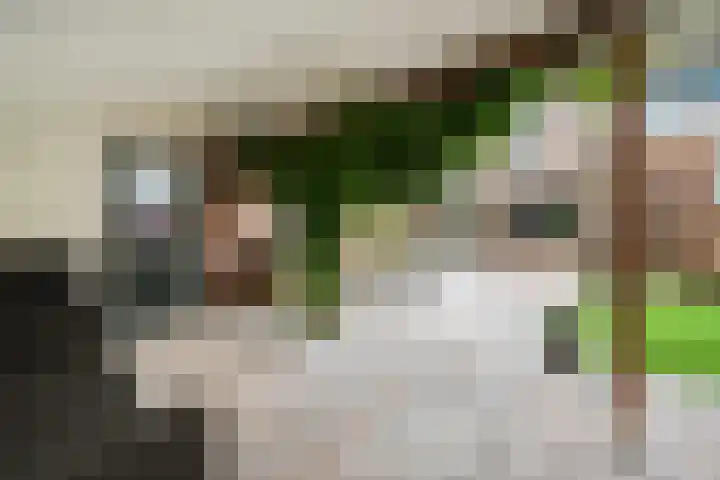 Emmerweg 32 Dalen thumbnail 41