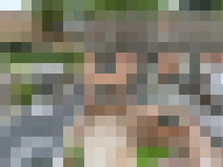 Emmerweg 32 Dalen thumbnail 42