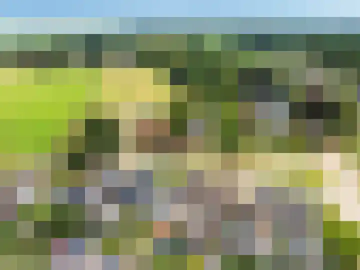 Emmerweg 32 Dalen thumbnail 43