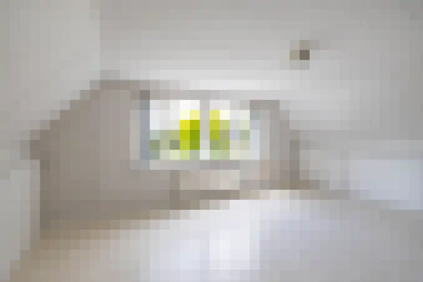 Emmerwolderweg 7 Ten Boer thumbnail 28