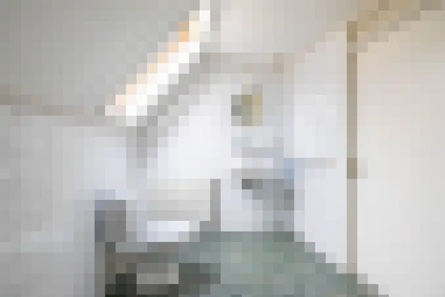 Emmerwolderweg 7 Ten Boer thumbnail 35