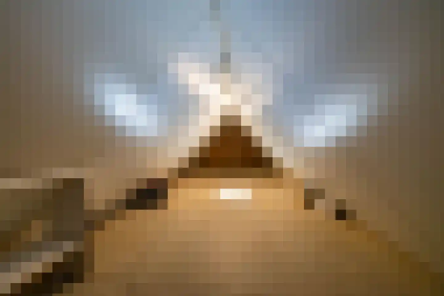 Emmerwolderweg 7 Ten Boer thumbnail 41