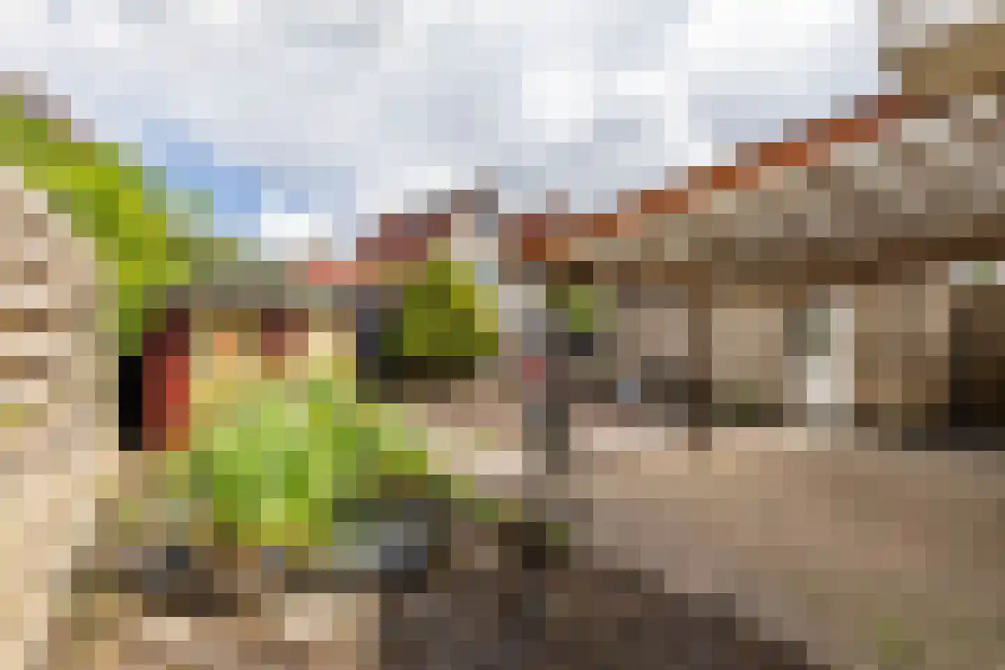 Emmerwolderweg 7 Ten Boer thumbnail 47
