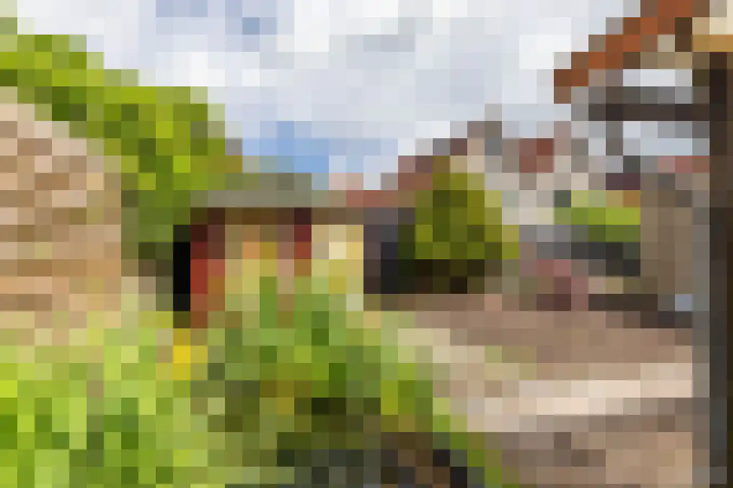 Emmerwolderweg 7 Ten Boer thumbnail 48