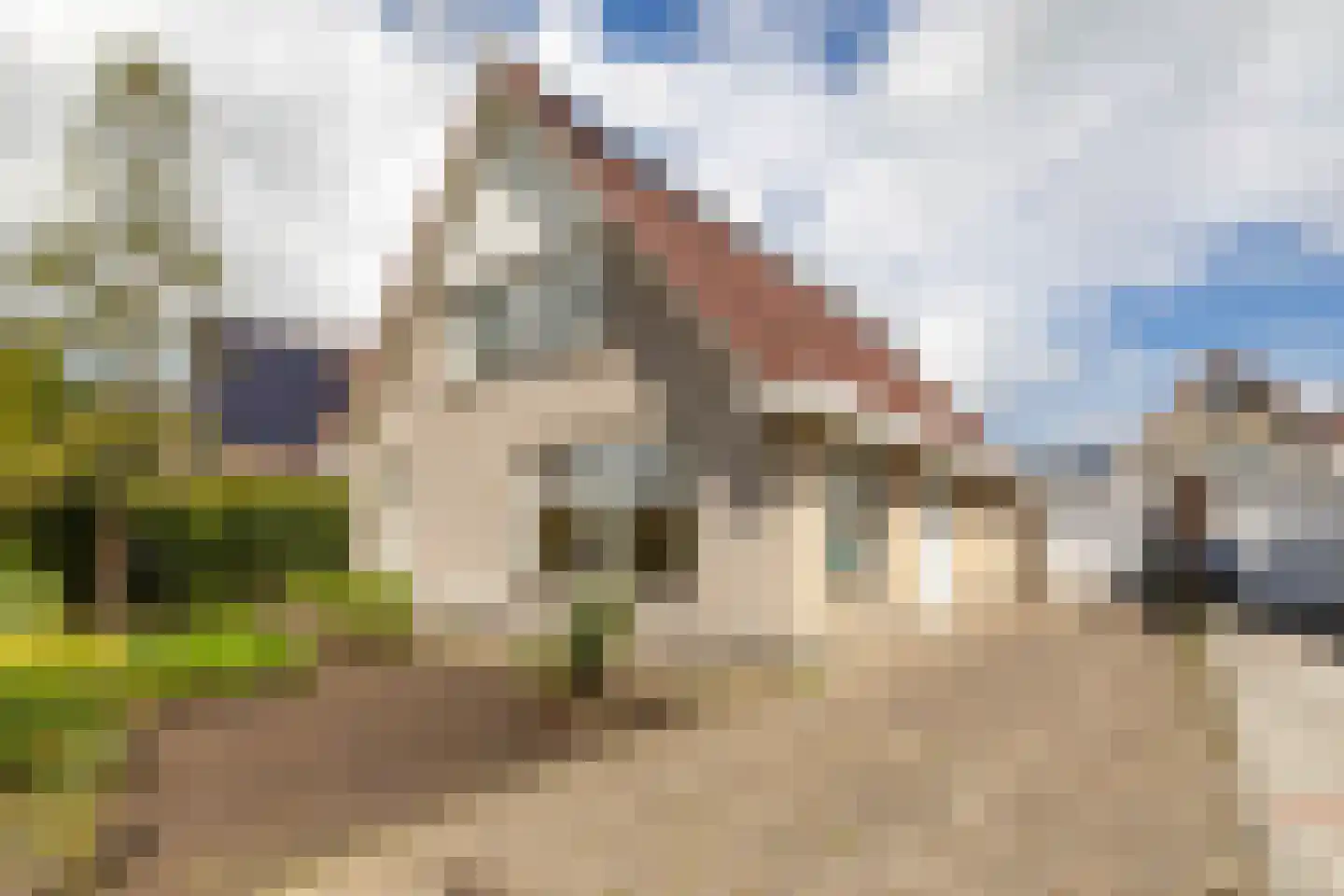 Emmerwolderweg 7 Ten Boer thumbnail 5