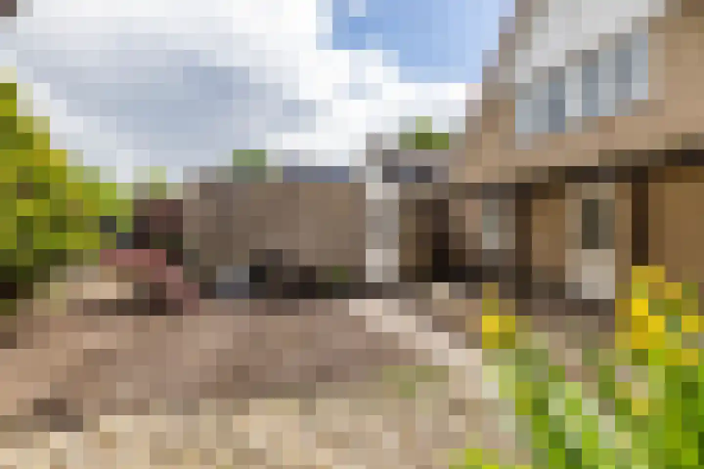 Emmerwolderweg 7 Ten Boer thumbnail 51