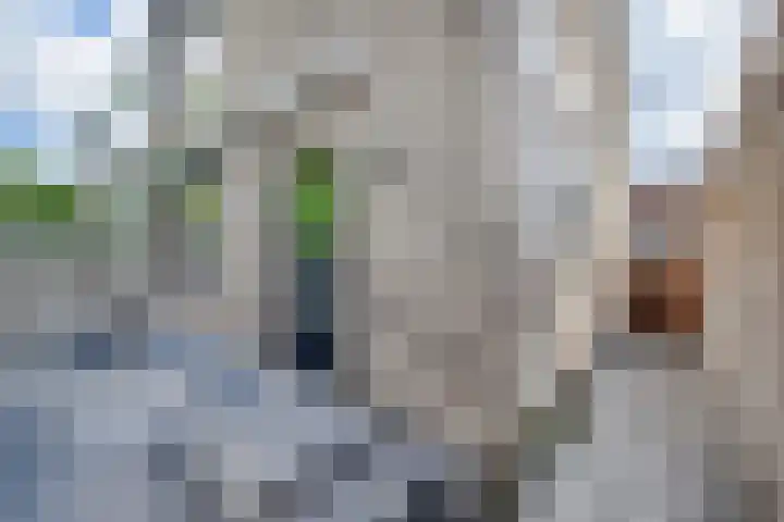 Emmikhovensestraat 3 Waalwijk thumbnail 15