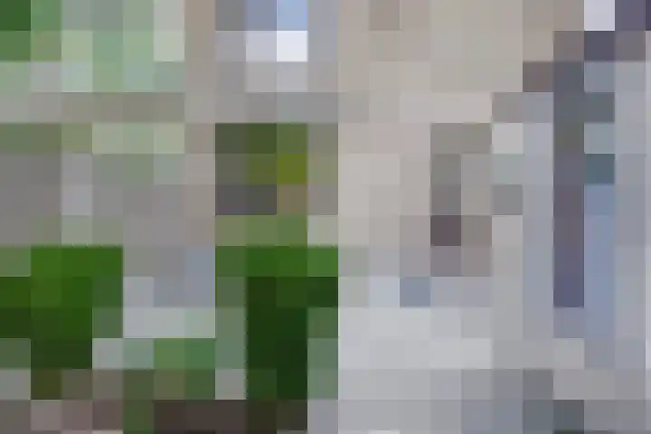 Emmikhovensestraat 3 Waalwijk thumbnail 17