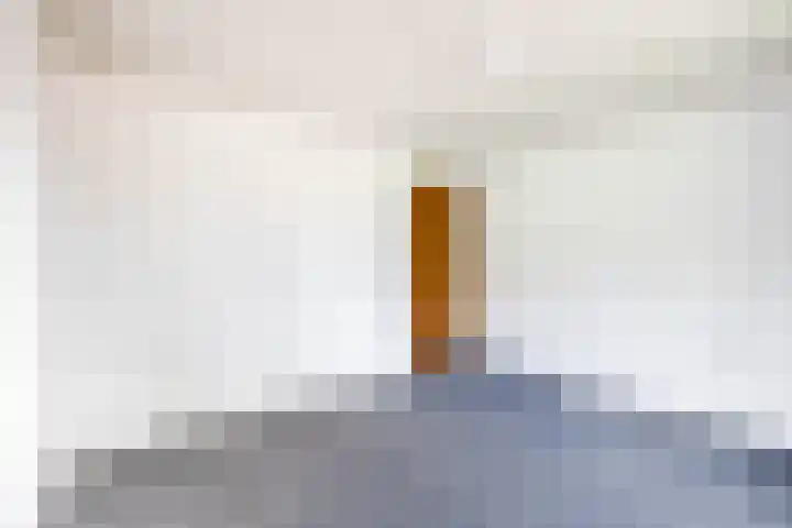 Emmikhovensestraat 3 Waalwijk thumbnail 27