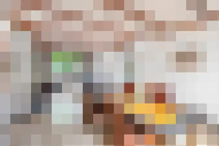 Emmikhovensestraat 3 Waalwijk thumbnail 9