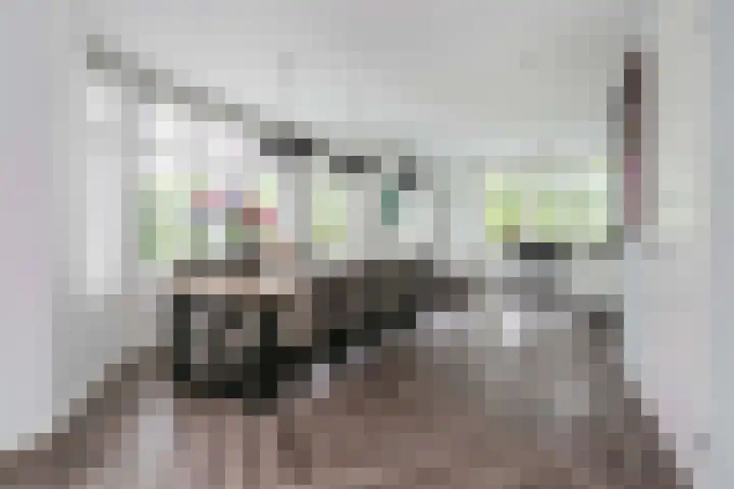 Emmikkerboslaan 67 De Meern thumbnail 11