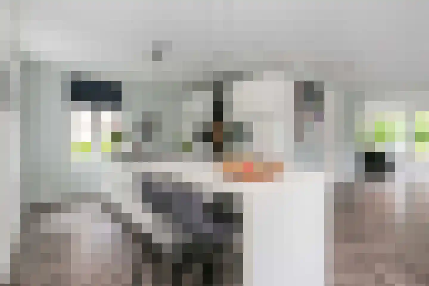 Emmikkerboslaan 67 De Meern thumbnail 16