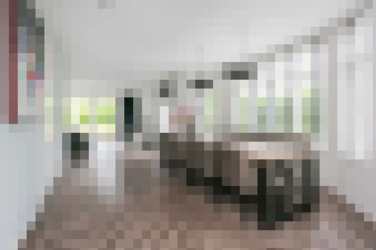 Emmikkerboslaan 67 De Meern thumbnail 18