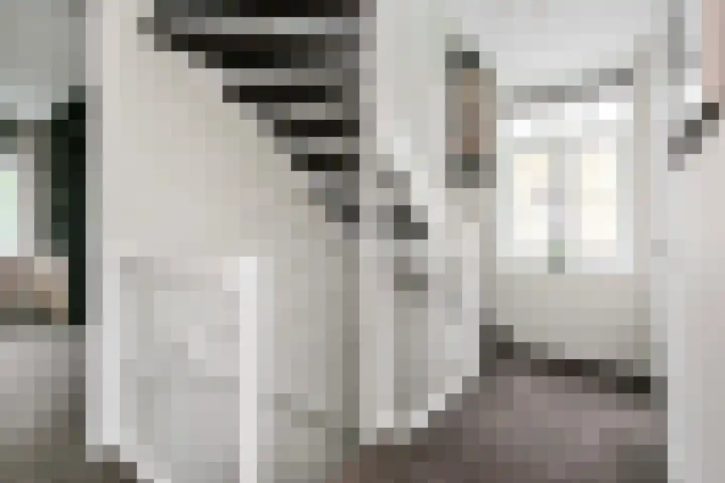Emmikkerboslaan 67 De Meern thumbnail 25
