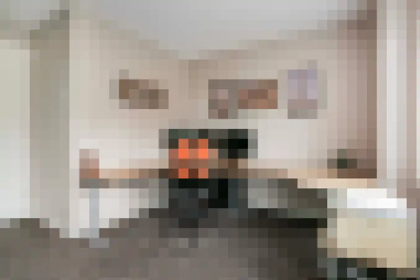 Emmikkerboslaan 67 De Meern thumbnail 32