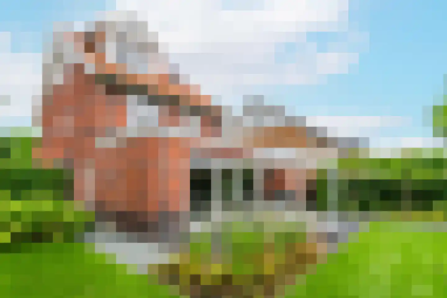 Emmikkerboslaan 67 De Meern thumbnail 54