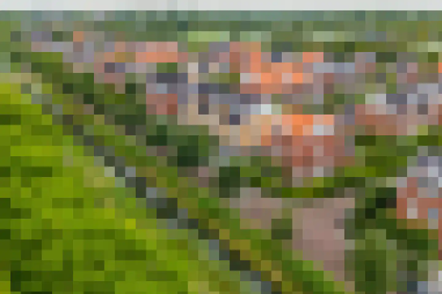 Emmikkerboslaan 67 De Meern thumbnail 6