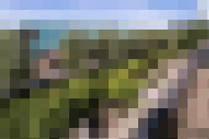 Emminkhuizerberg 16 Amersfoort thumbnail 35