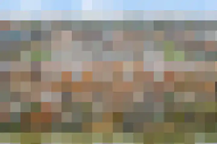 Emminkhuizerberg 16 Amersfoort thumbnail 39