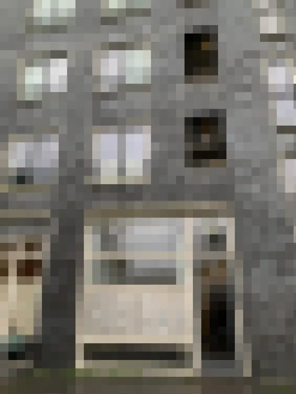 Emmy Andriessestraat 288 Amsterdam thumbnail 4
