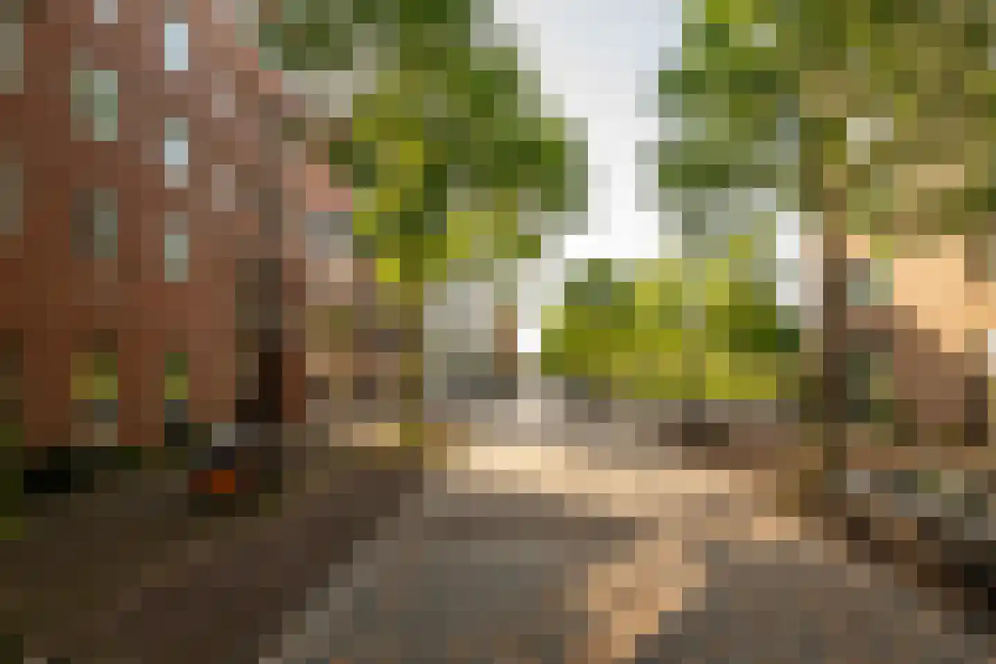 Emmy Andriessestraat 352 Amsterdam thumbnail 32