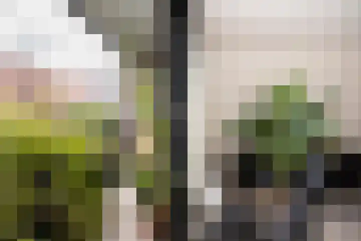 Emmy Andriessestraat 371 Amsterdam thumbnail 5