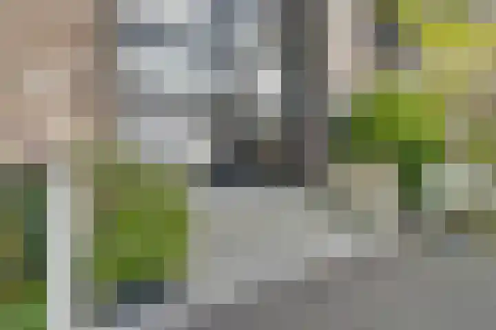 Emmy Andriessestraat 379 Amsterdam thumbnail 4