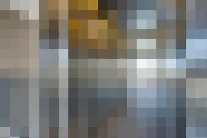 Emmy Andriessestraat 379 Amsterdam thumbnail 7