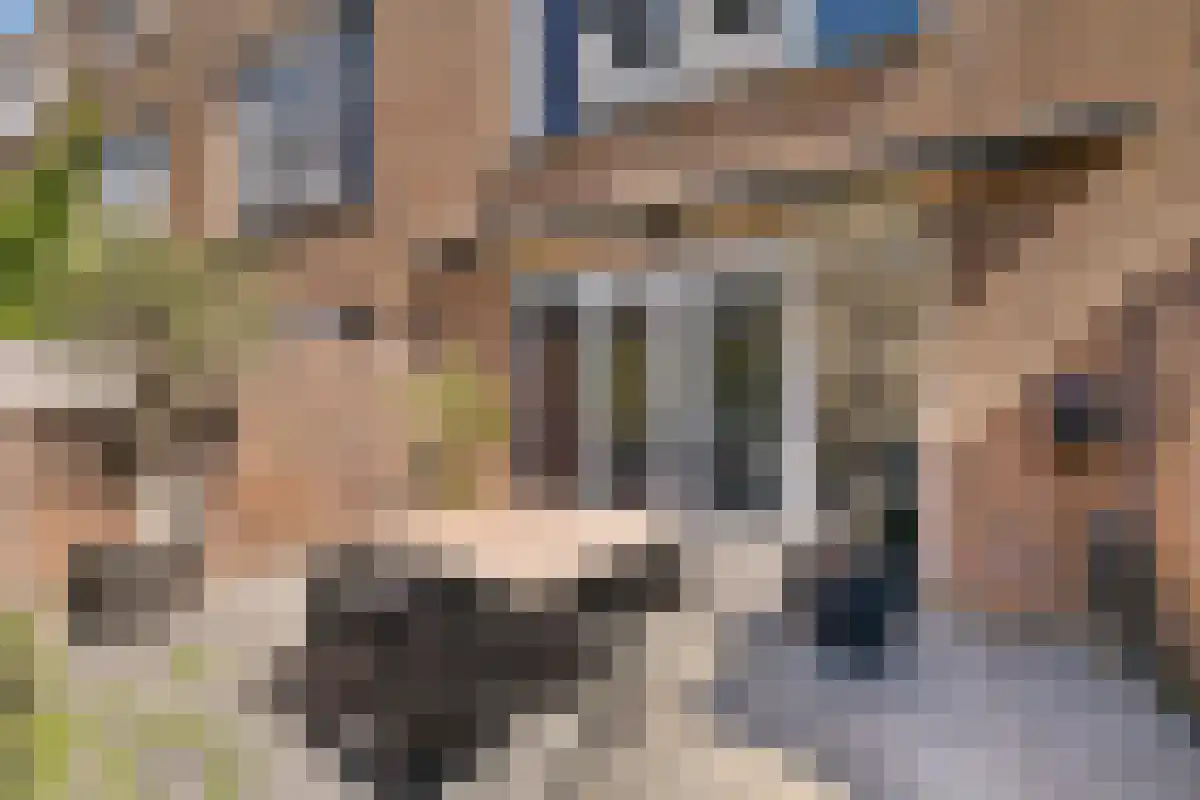 Emmy Andriessestraat 426 Amsterdam thumbnail 6