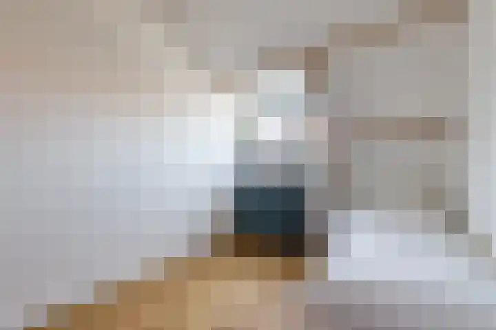 Emostraat 11 Haarlem thumbnail 19