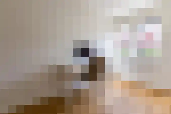 Emostraat 11 Haarlem thumbnail 22