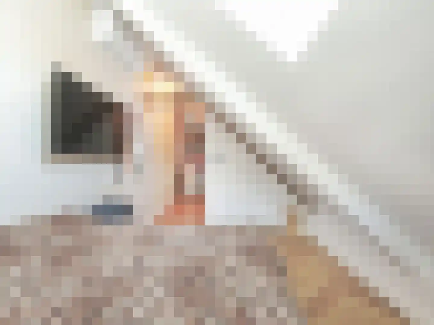 Emostraat 17 Haarlem thumbnail 28