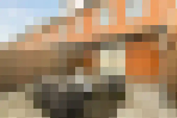Empangeni 23 Amsterdam thumbnail 26