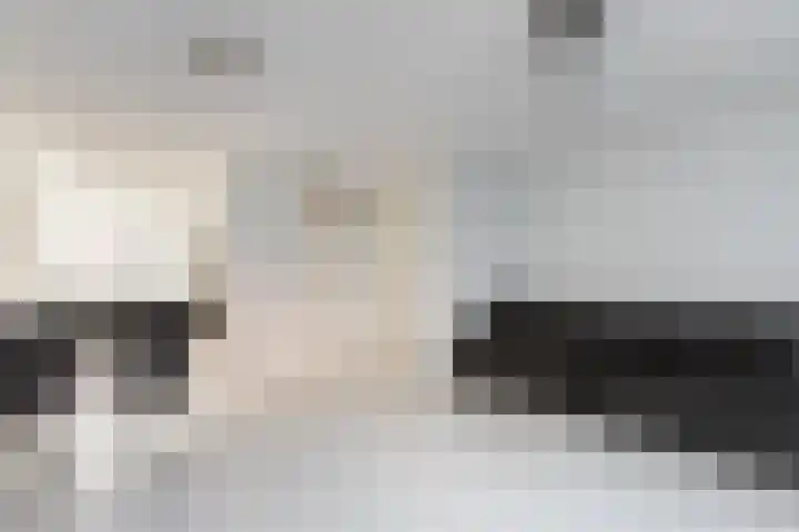 Empangeni 23 Amsterdam thumbnail 5
