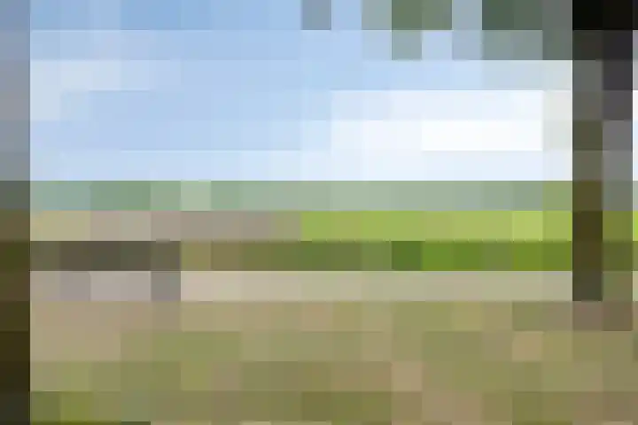 Empeldonk 11 Erp thumbnail 12