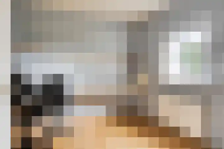 Empeldonk 11 Erp thumbnail 17