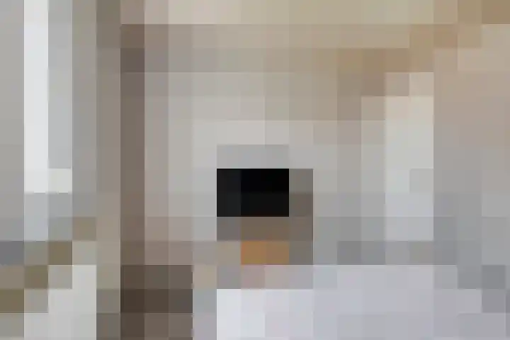 Empeldonk 11 Erp thumbnail 26