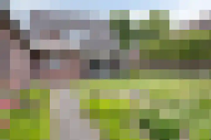 Empeldonk 11 Erp thumbnail 39